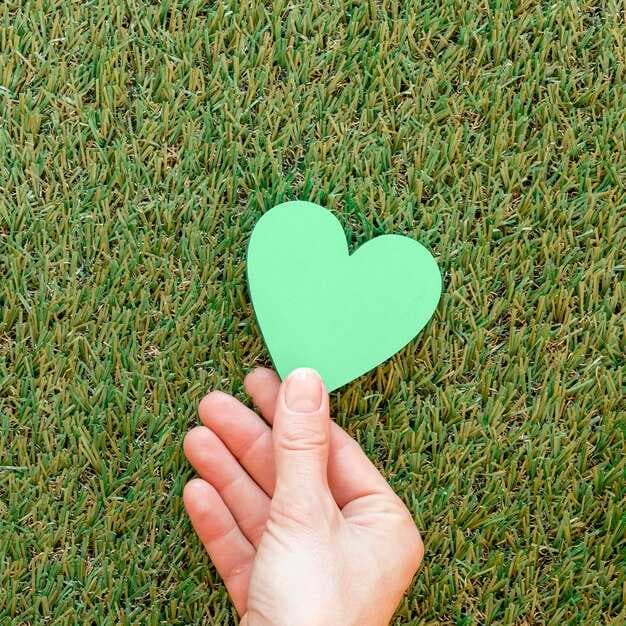5 Green Flags in Relationships - Signs of a Healthy Relationship