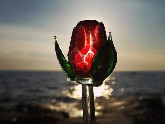 The ONLY way to beat a Narcissist at their own game ď˝ď˝ Red flags and Green Flags!