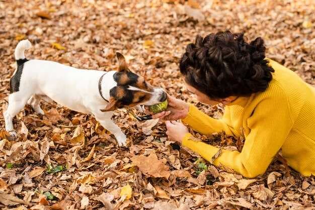 How to Stop Your Dog's Destructive Chewing - 10 Effective Tips