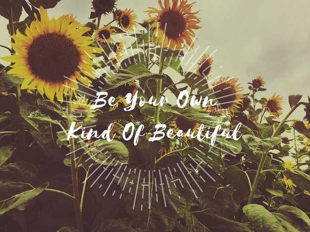 Journal Prompts and Tiny Actions to Reinforce Growth