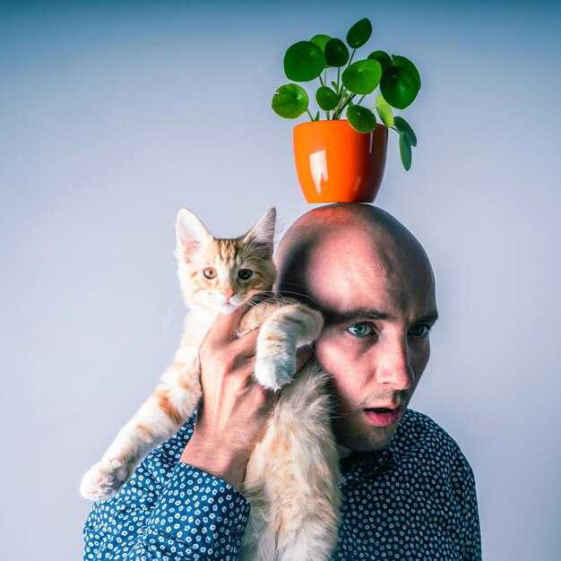 Linking Pet Choice to Neuroticism Scores