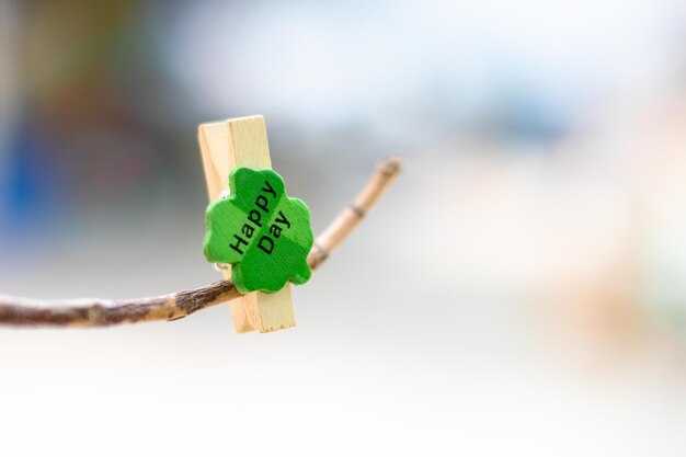 Financial Compatibility – The Understated Green Flag in Healthy Relationships