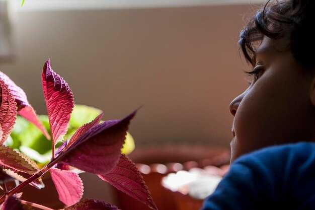 How Self-Reflection Benefits Your Mental Health – Techniques and Practical Tips