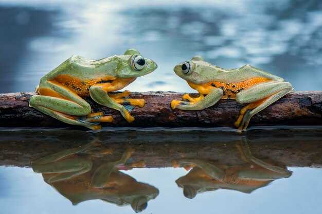 Page 2 Summary & Highlights