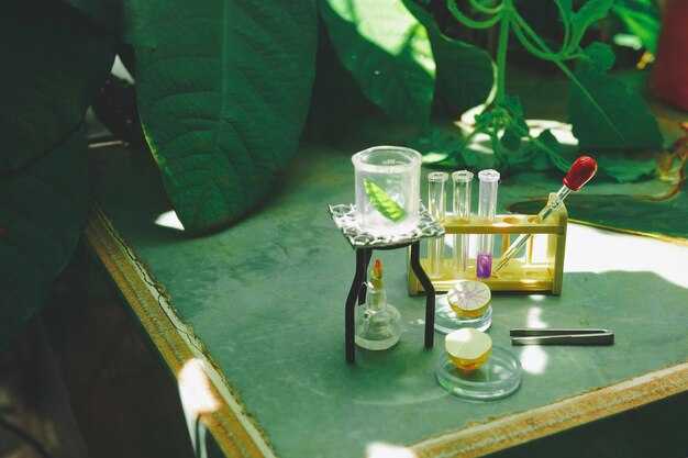 Science on a Shoestring – Inspiring Experiments with Everyday Items | Inspire Article