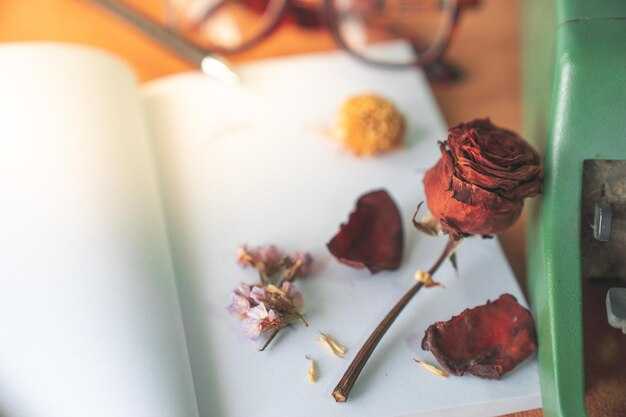 Release with a Ritual: Thank the item and mark the moment before letting go