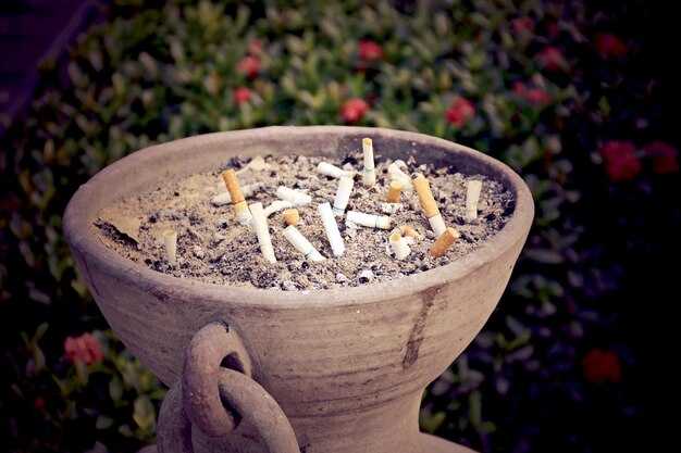 Beliefs in Practice: Pacifism, Simplicity, and Communal Living