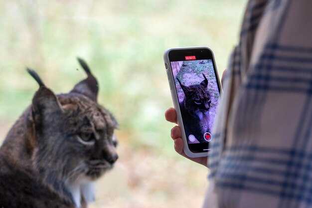 Creators and early viral clips that popularized the terms